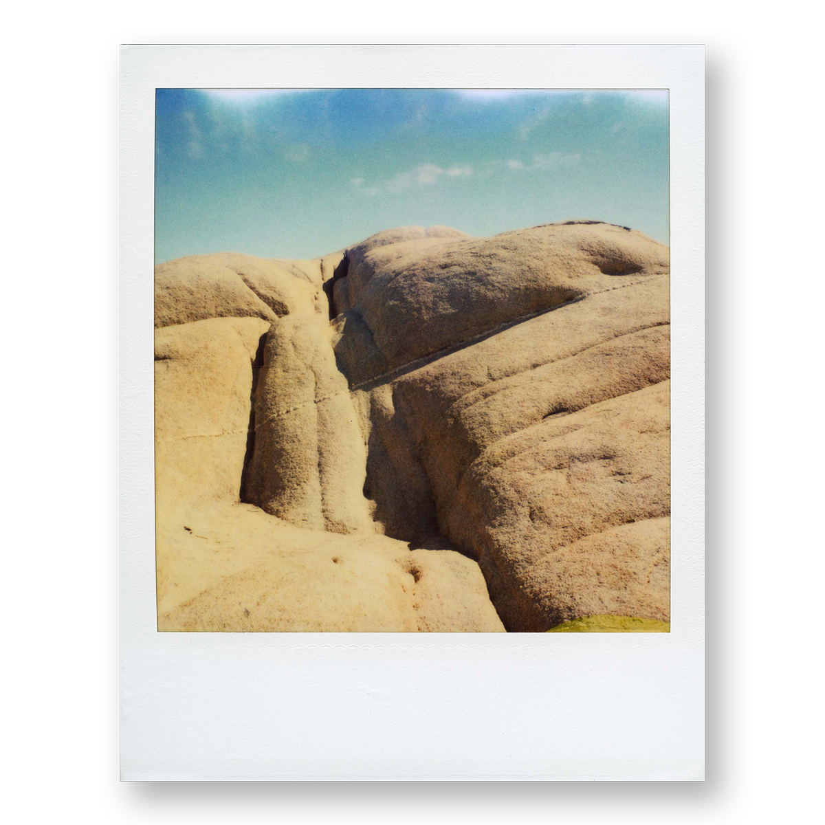 POLA / Gifts of Nature 20