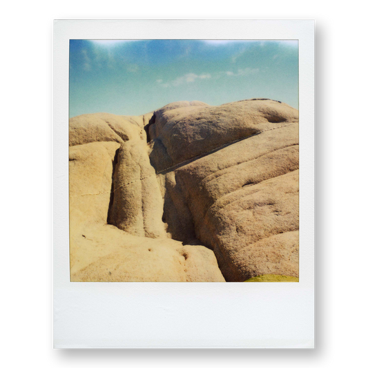 POLA / Gifts of Nature 20