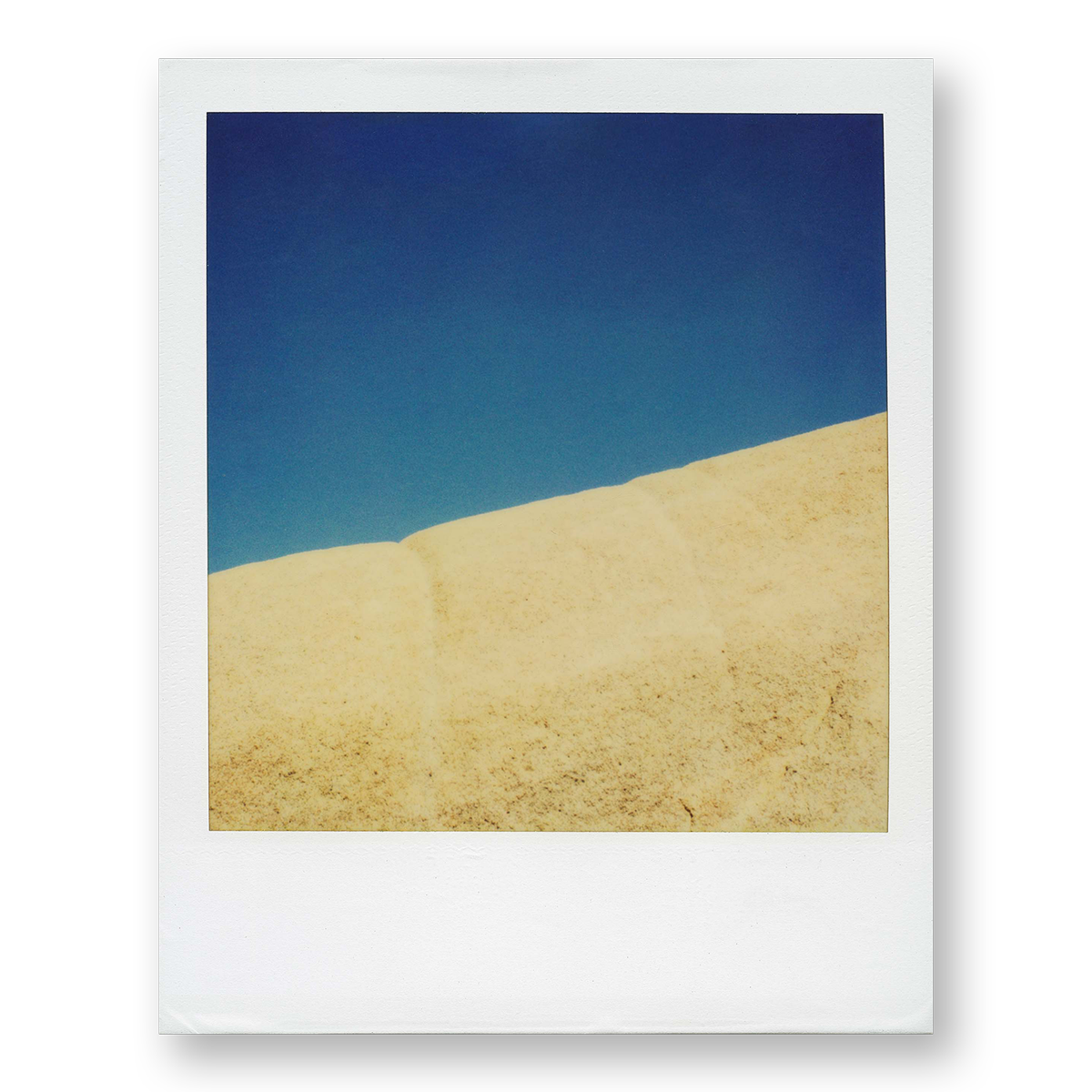 POLA / Gifts of Nature 21