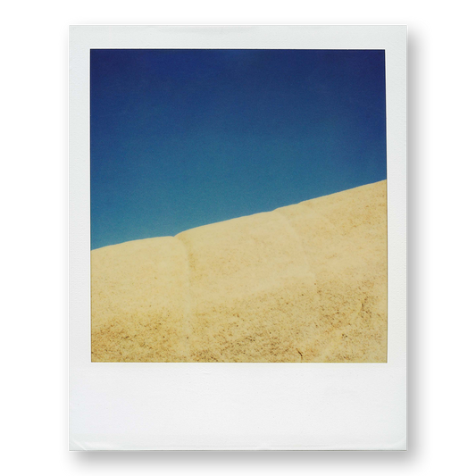 POLA / Gifts of Nature 21