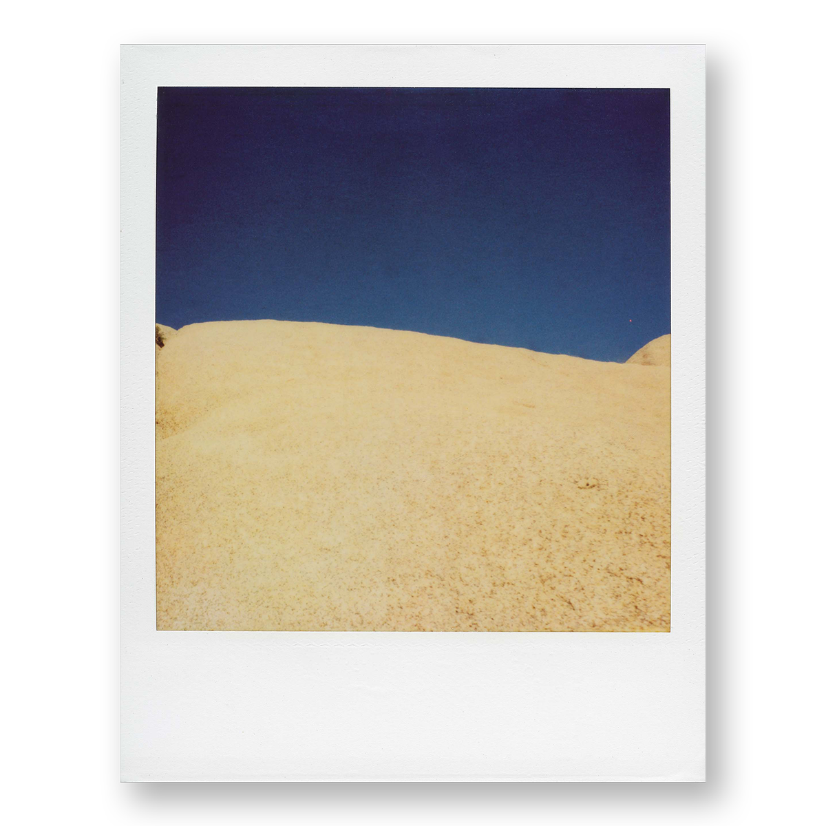 POLA / Gifts of Nature 22