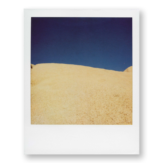 POLA / Gifts of Nature 22