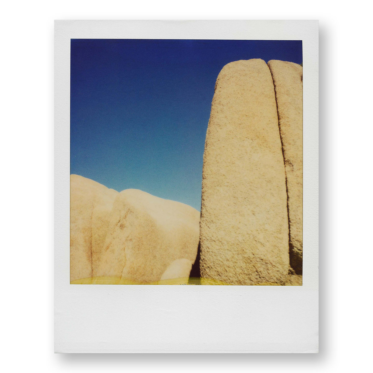 POLA / Gifts of Nature 23