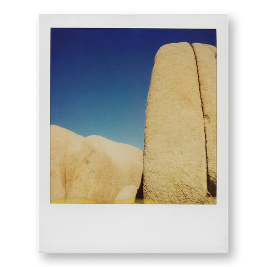 POLA / Gifts of Nature 23