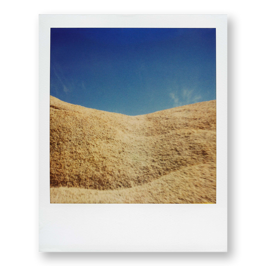 POLA / Gifts of Nature 24
