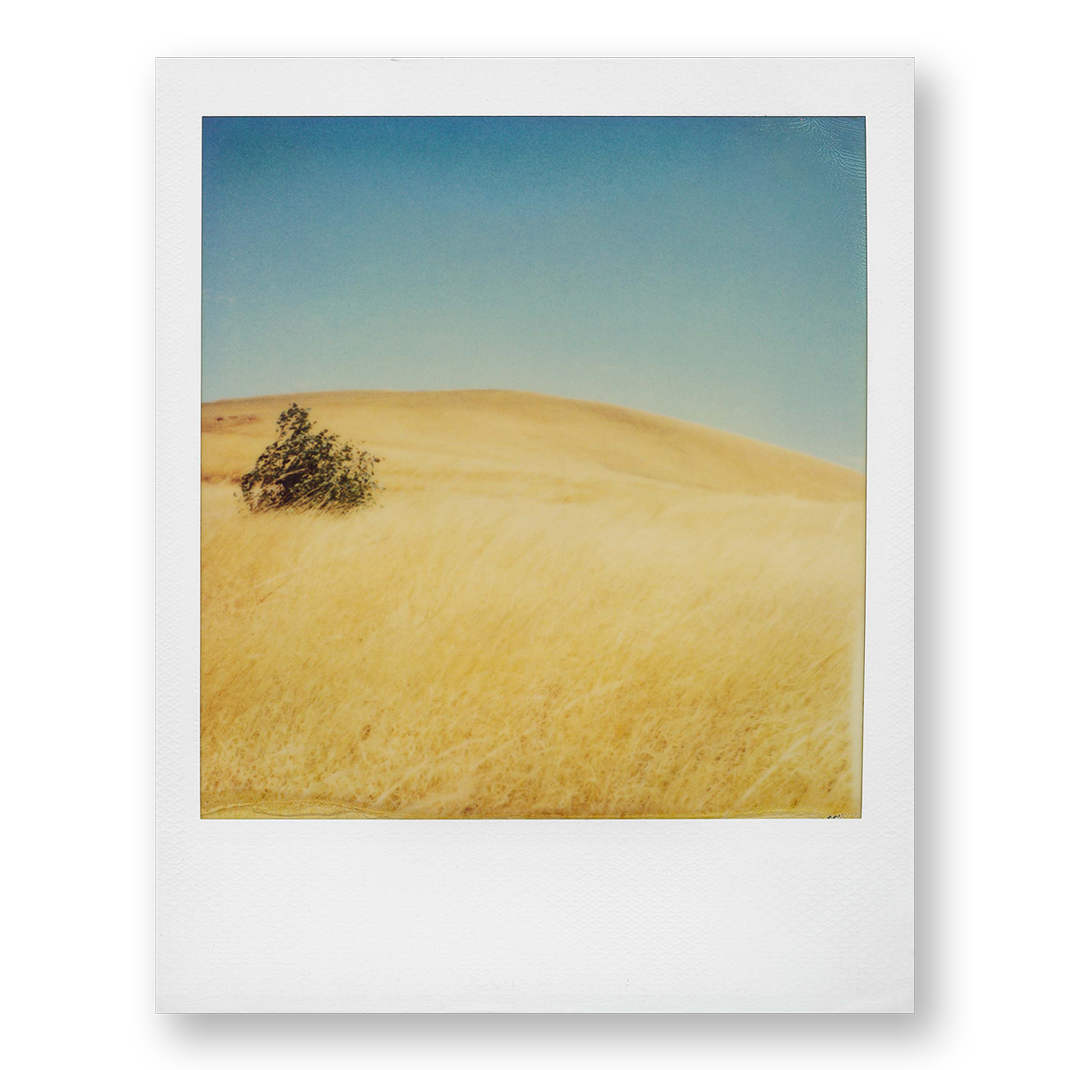 POLA / Madagascar 05