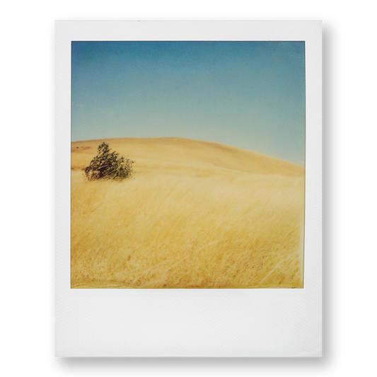 POLA / Madagascar 05