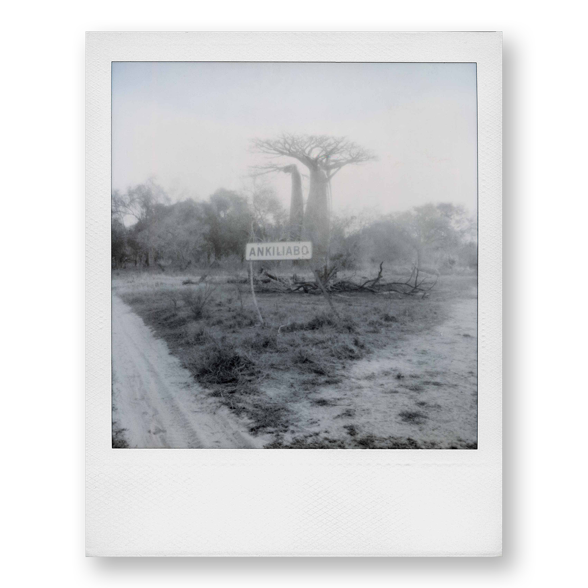 POLA / Madagascar 11