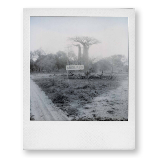 POLA / Madagascar 11