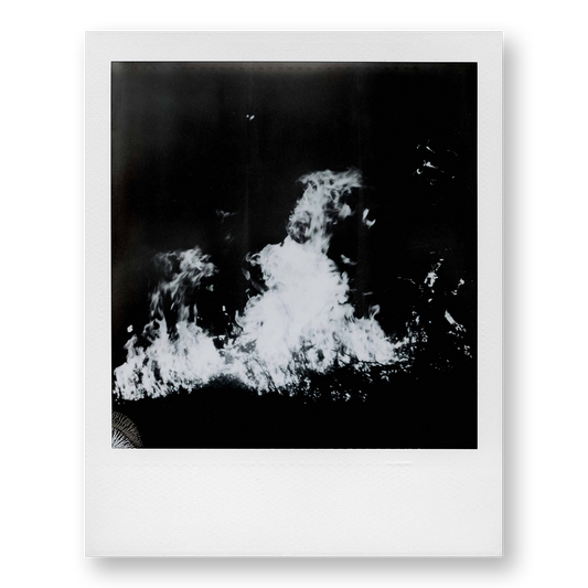 POLA / Madagascar 12