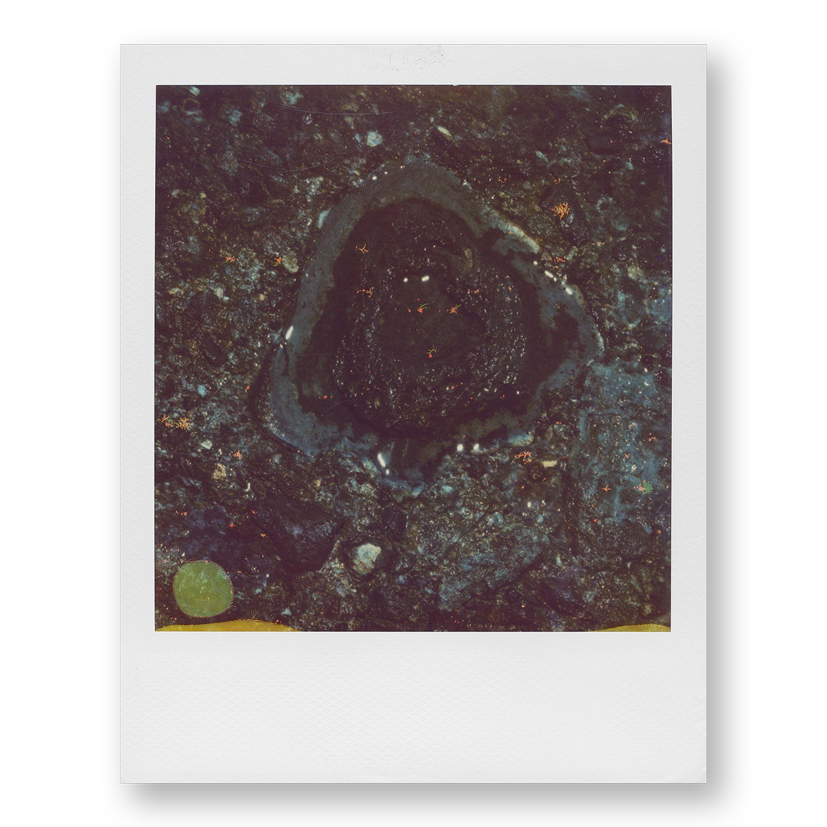 POLA / Madagascar 13