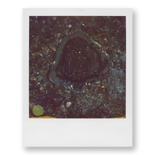 POLA / Madagascar 13