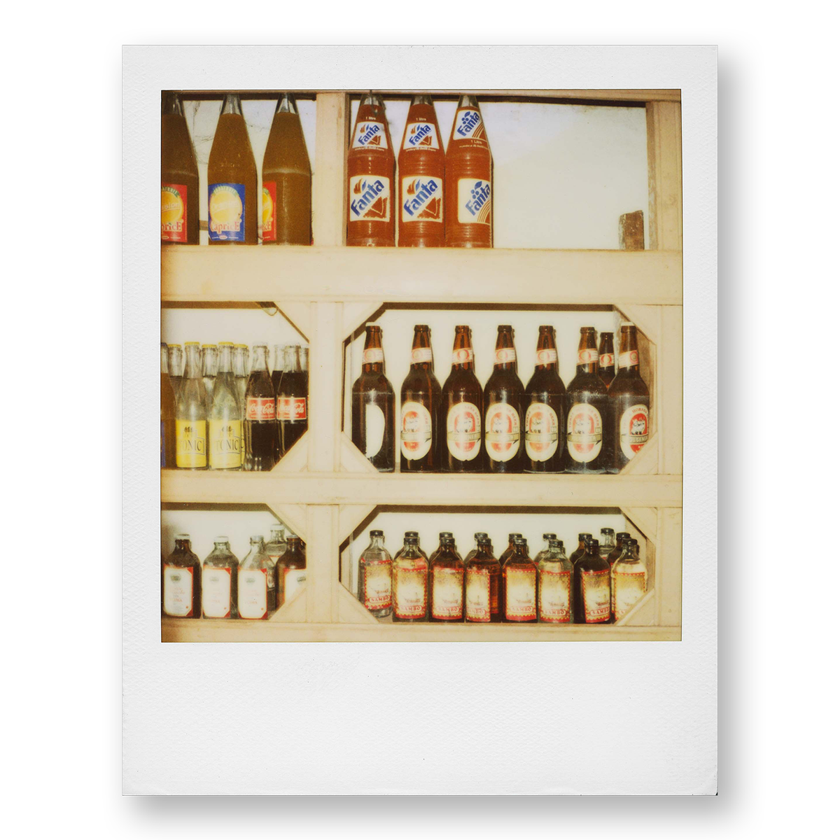 POLA / Madagascar 18