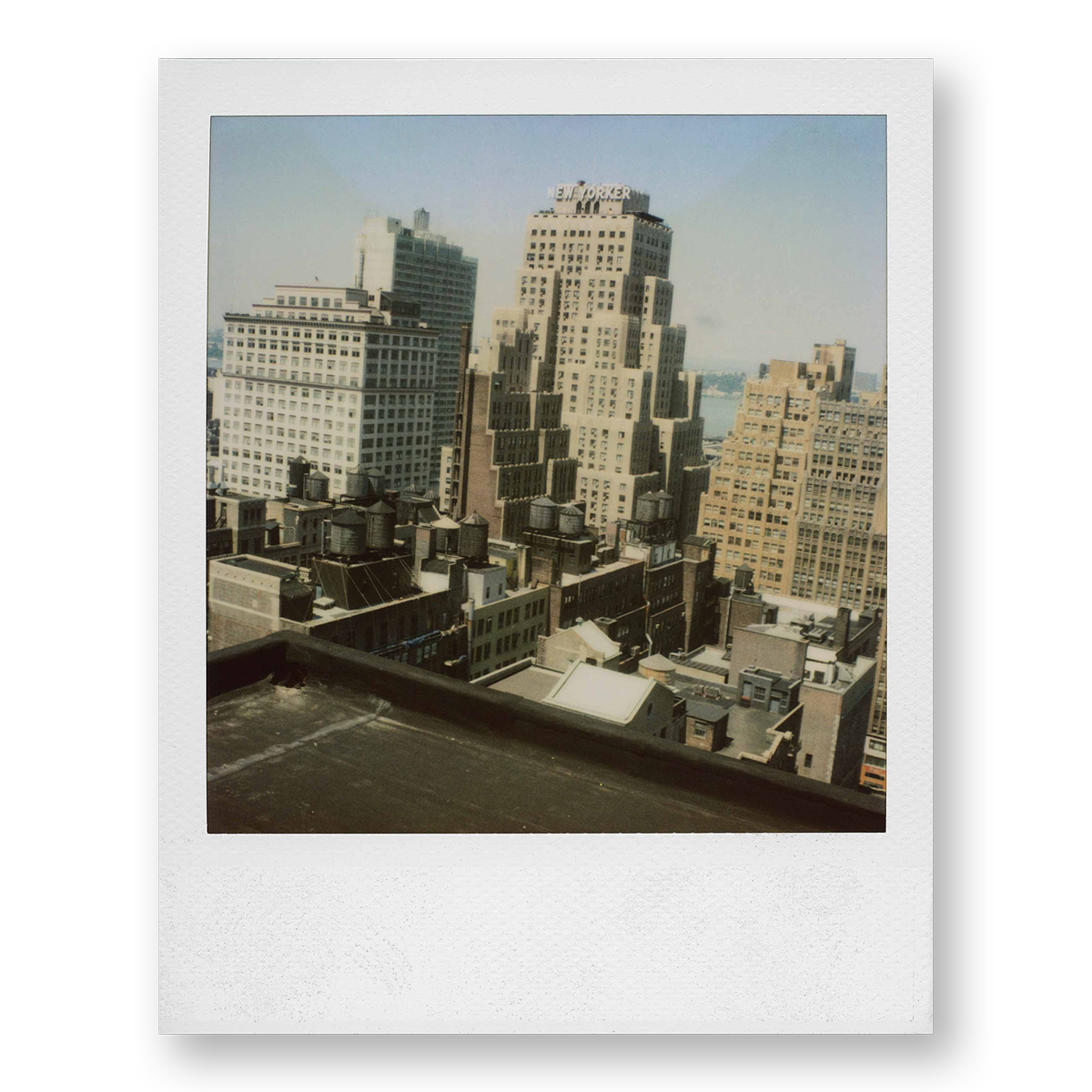 POLA / New York 04