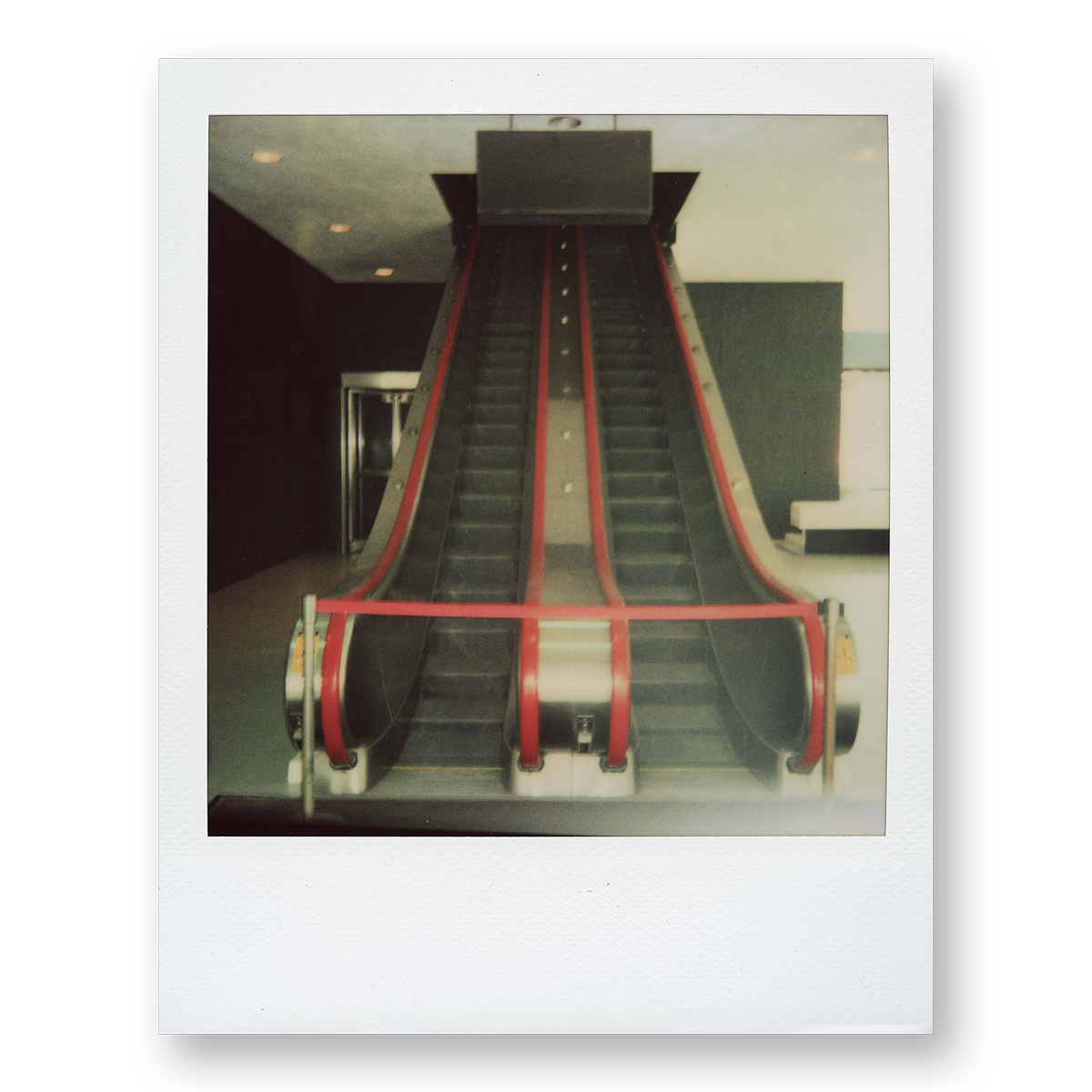 POLA / New York 11
