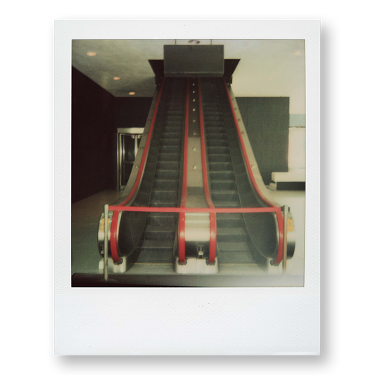 POLA / New York 11
