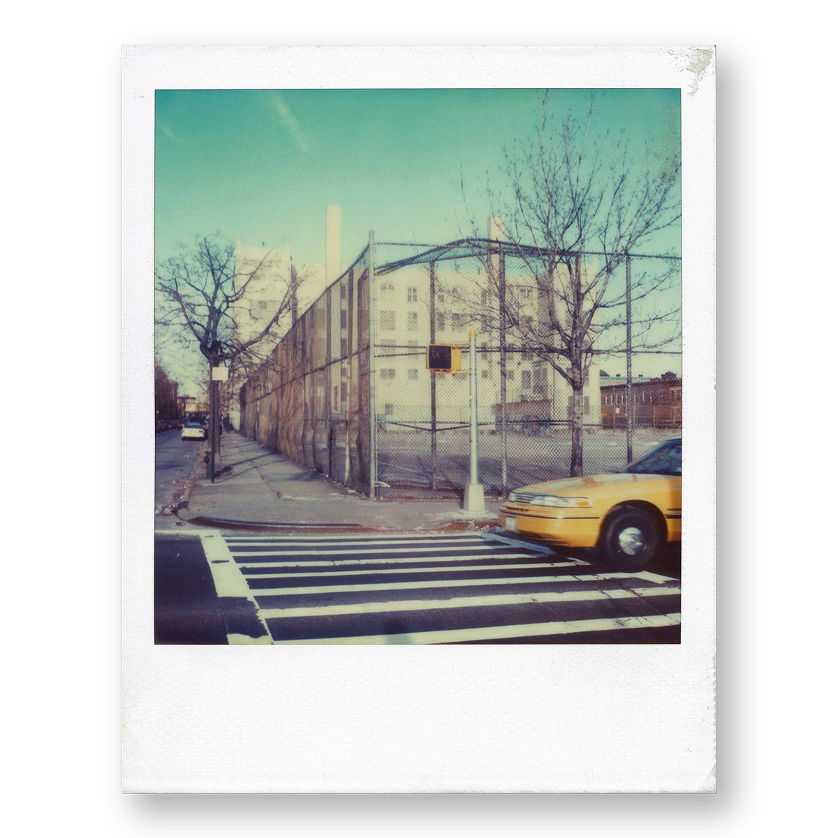 POLA / New York 15