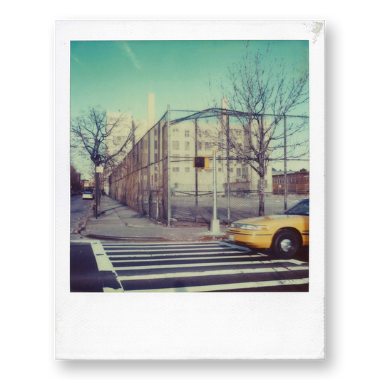 POLA / New York 15