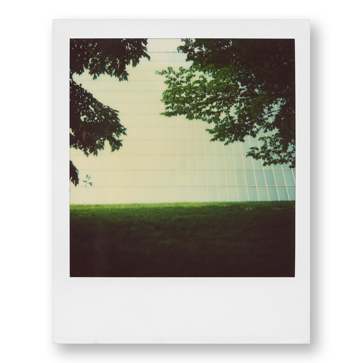POLA / New York 22