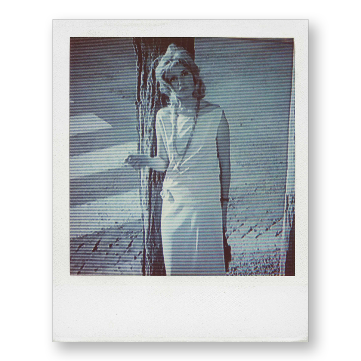 POLA / Night in 02