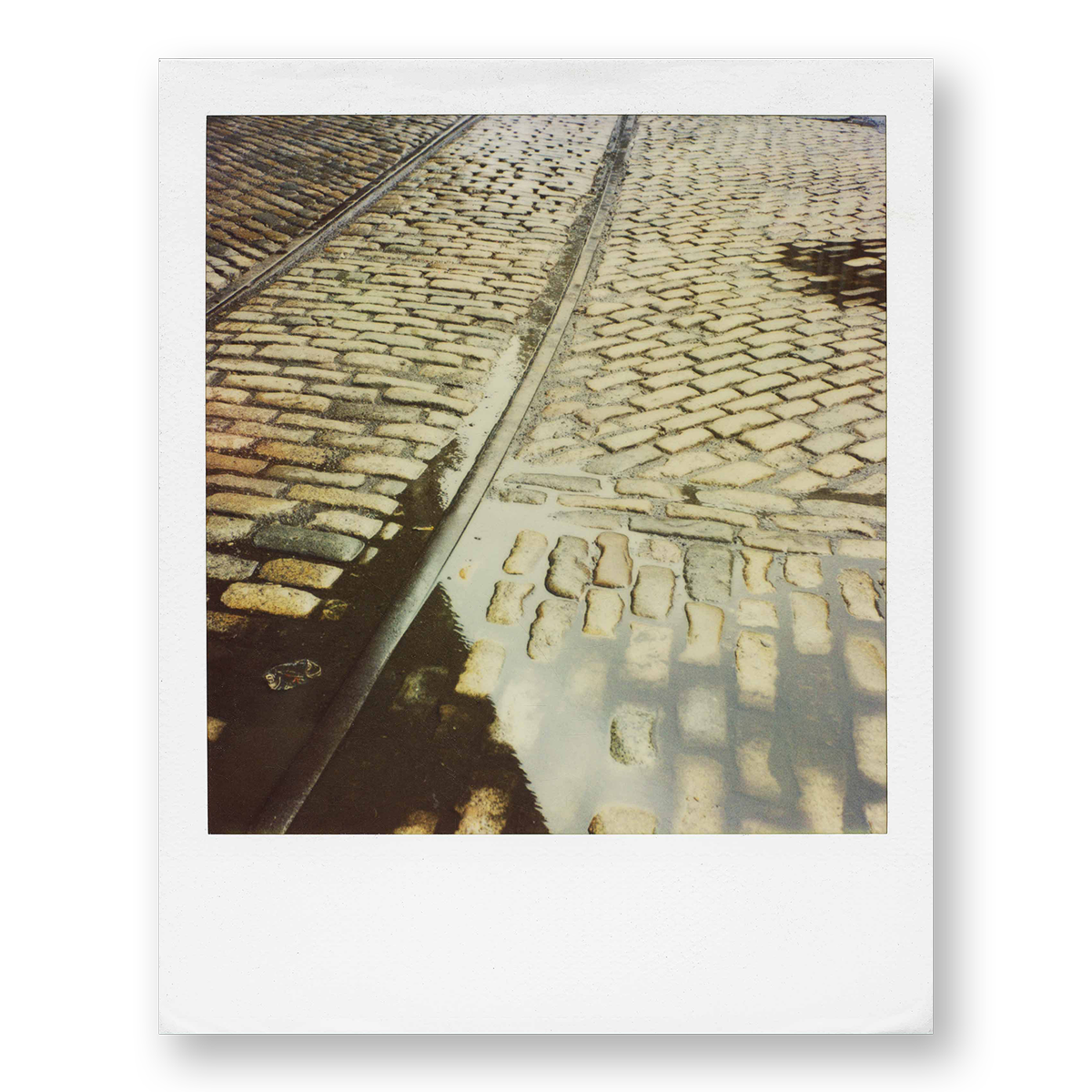 POLA / Night out 06