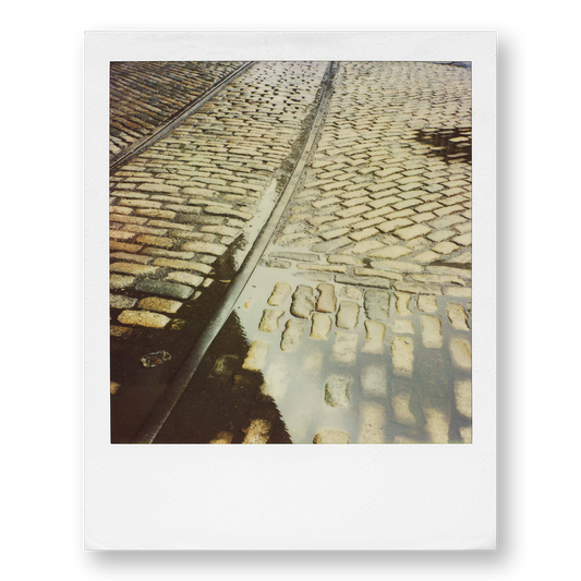 POLA / Night out 06