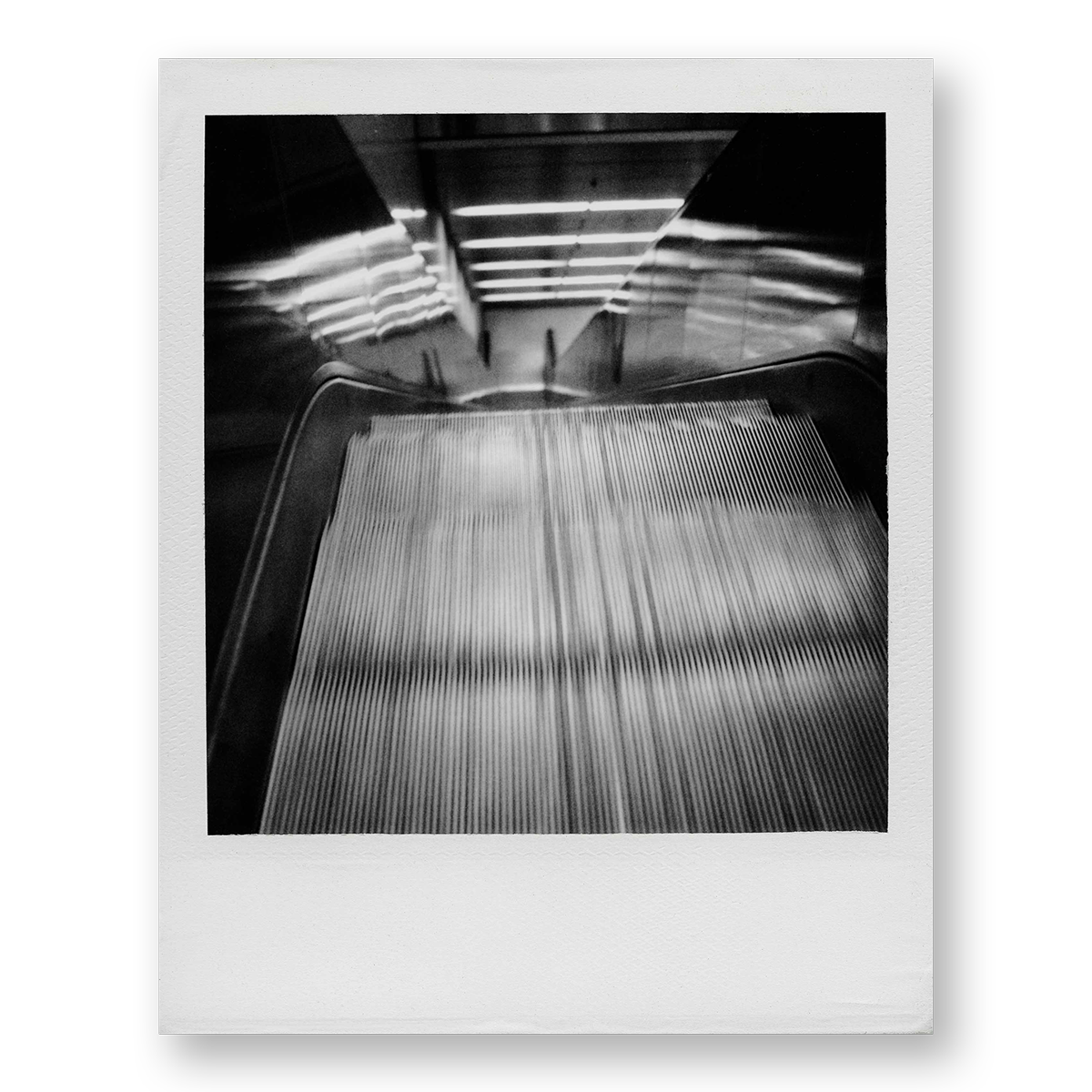 POLA / Night out 09