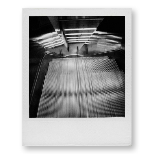 POLA / Night out 09