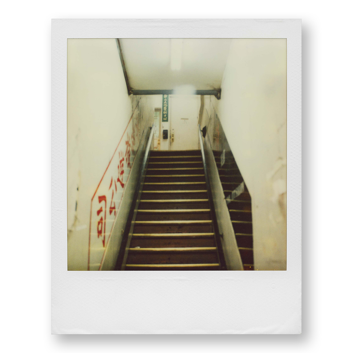 POLA / Night out 20