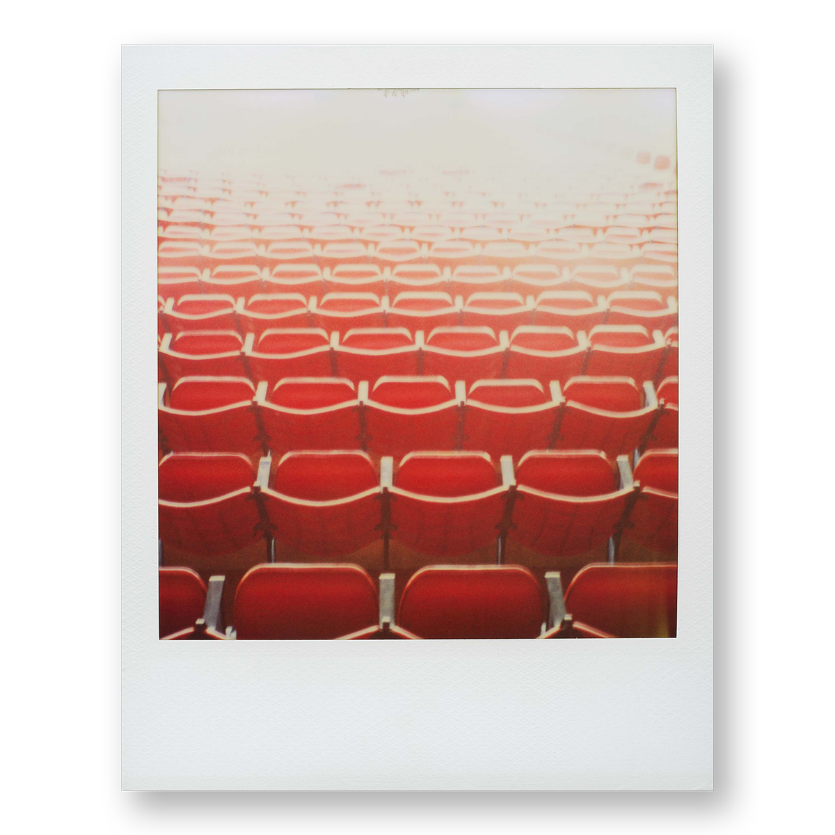 POLA / Red 01