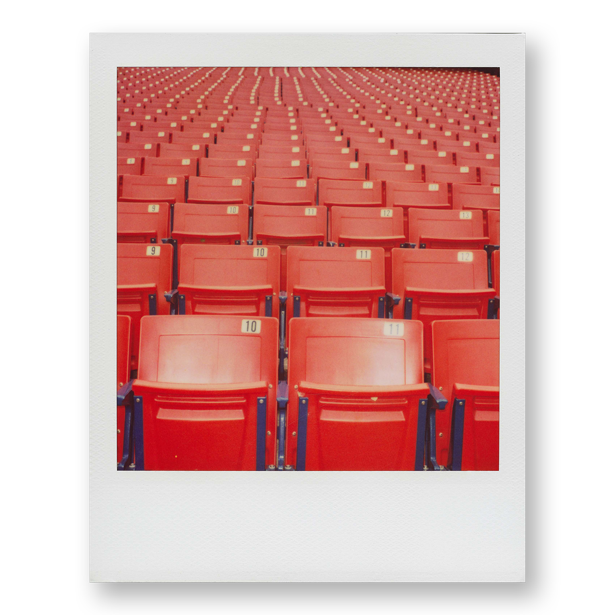 POLA / Red 02