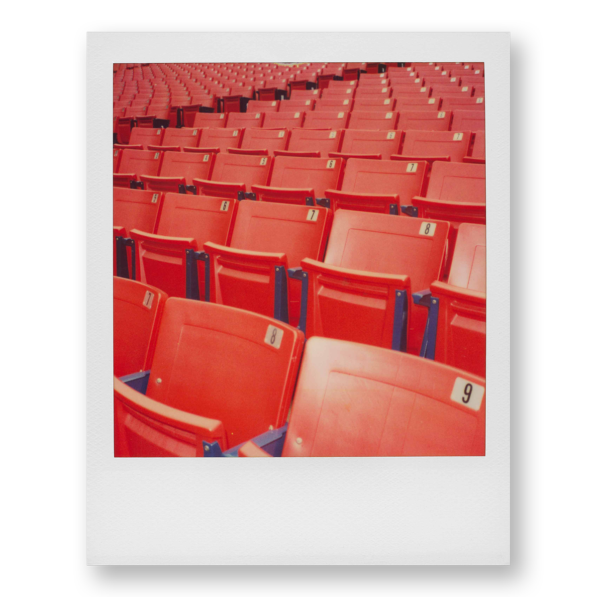 POLA / Red 03