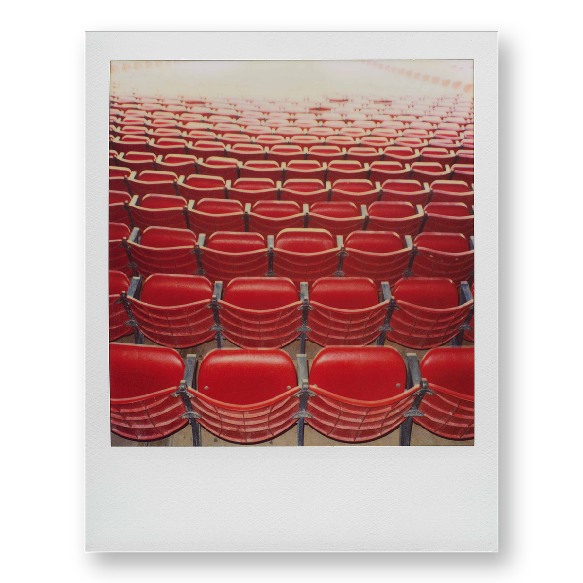 POLA / Red 05