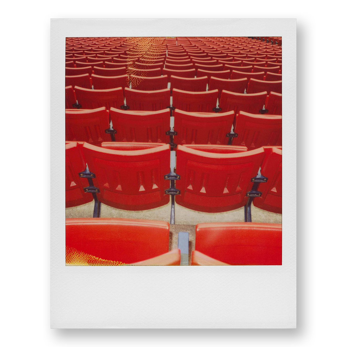POLA / Red 06