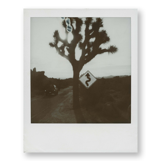 POLA / Road Trip 06