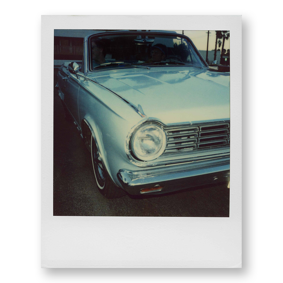POLA / Road Trip 13