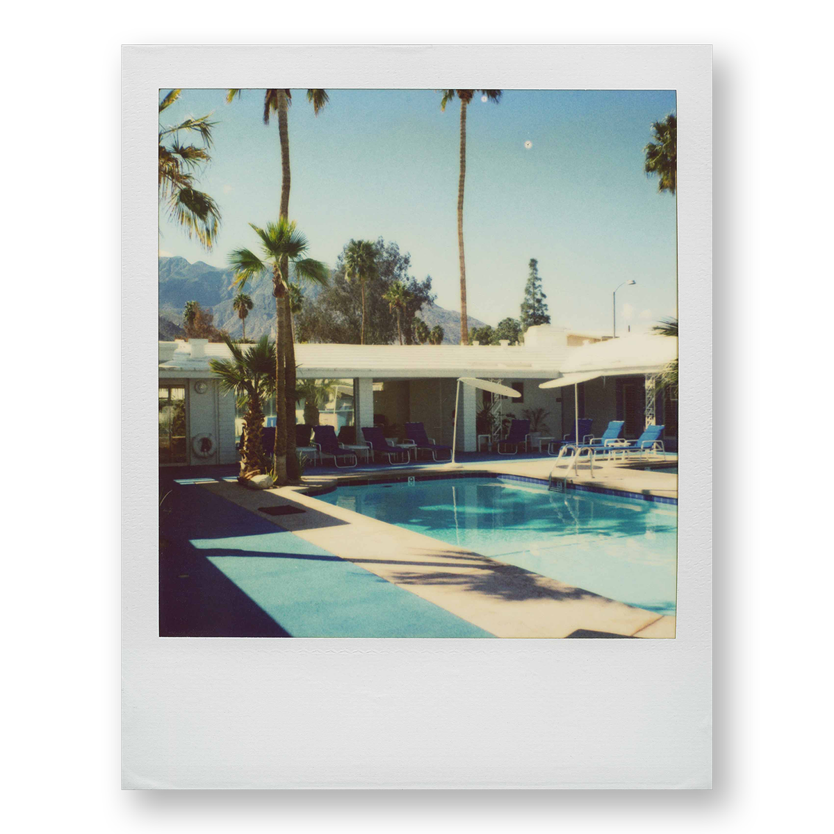 POLA / Road Trip 14