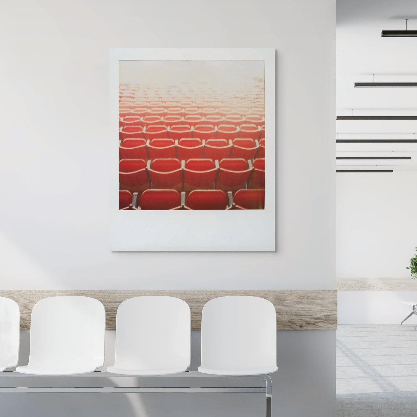 POLA / Red 01