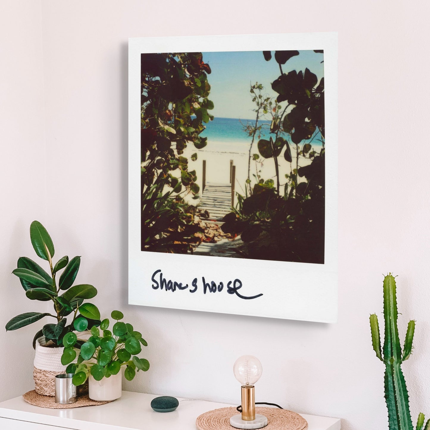 POLA / Dreamland 07