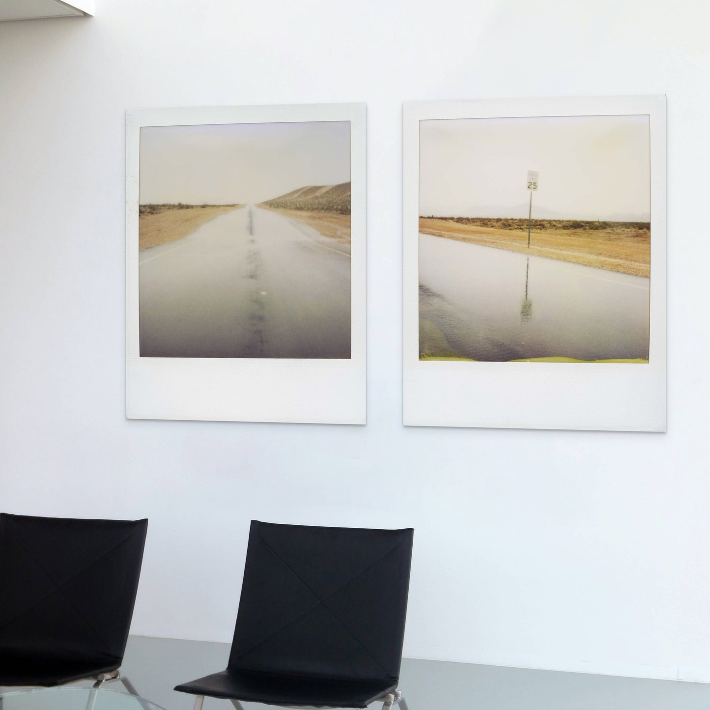 POLA / Dreamland 19