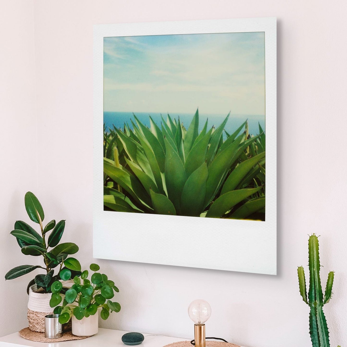 POLA / Gifts of Nature 03