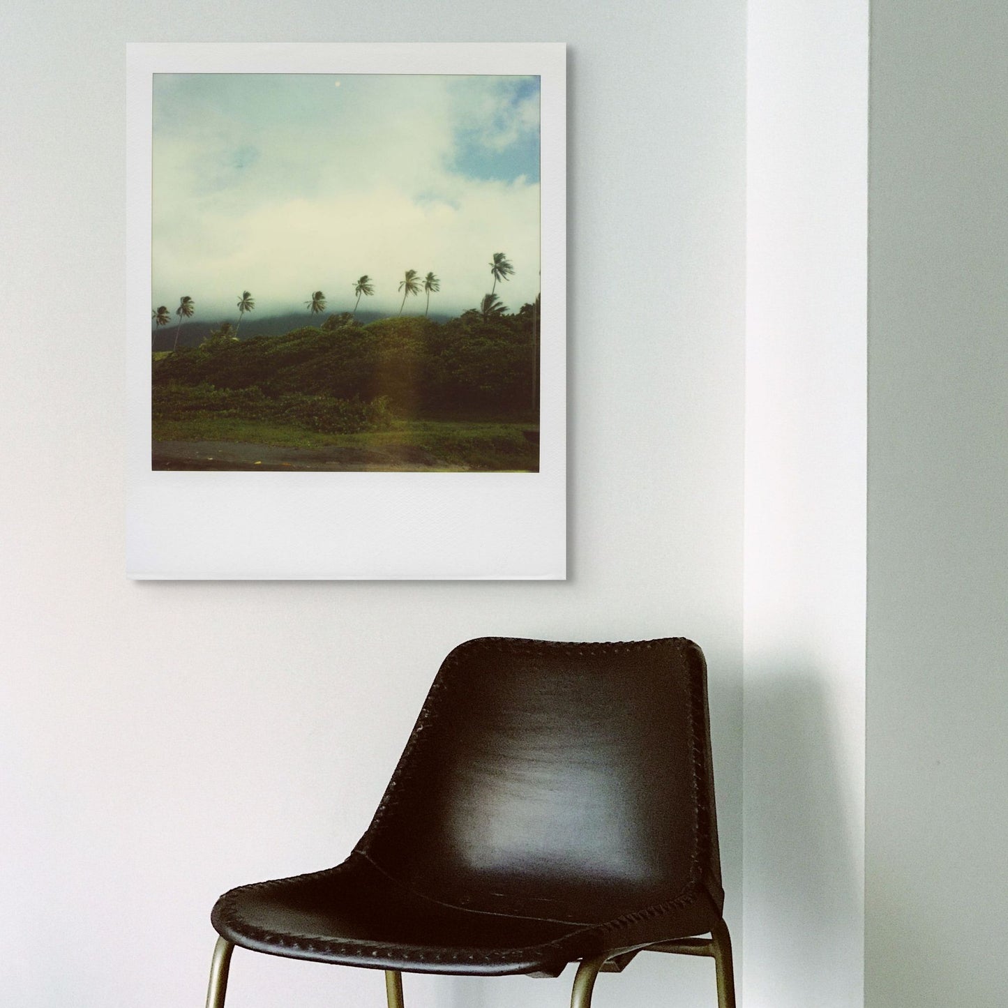 POLA / Gifts of Nature 12