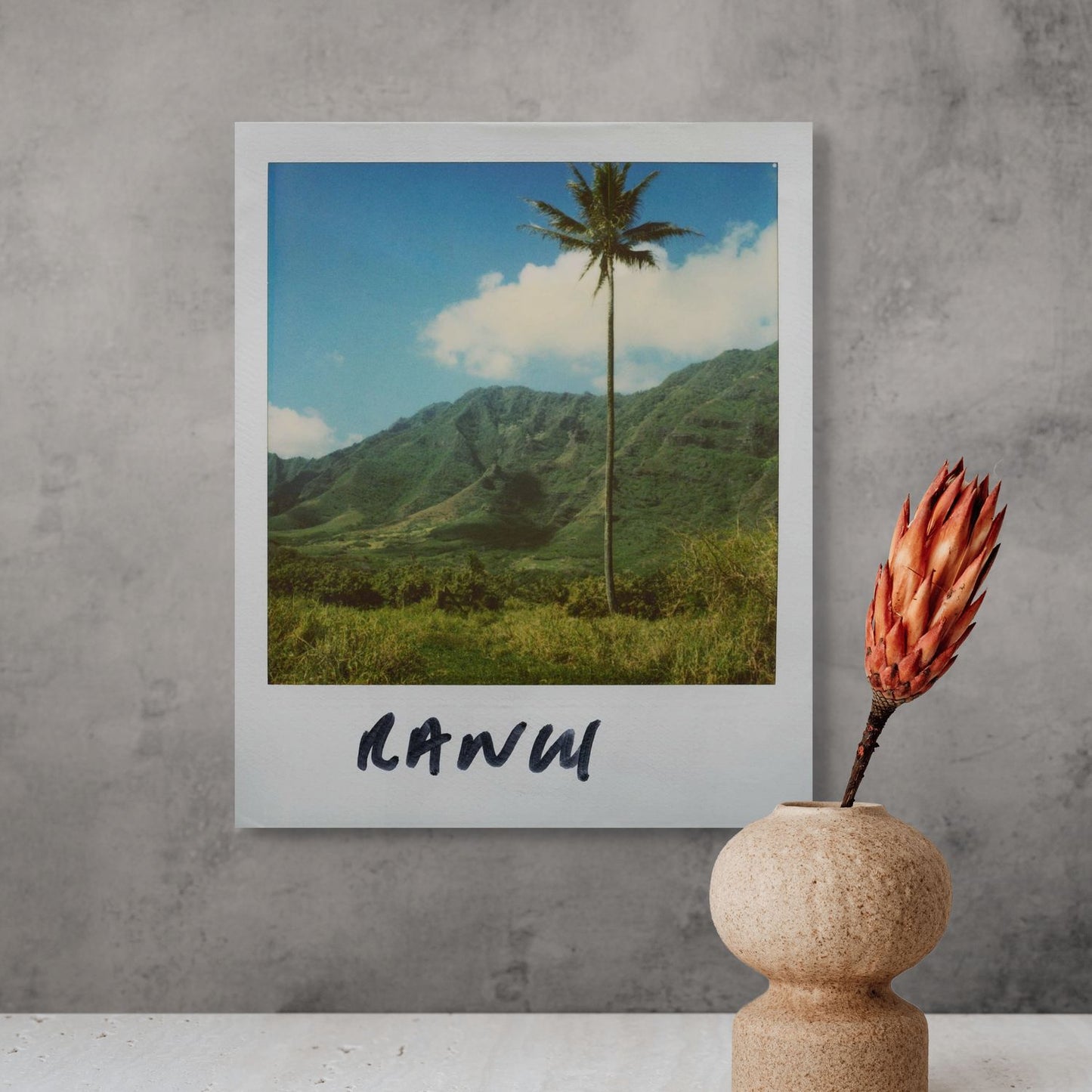 POLA / Gifts of Nature 13