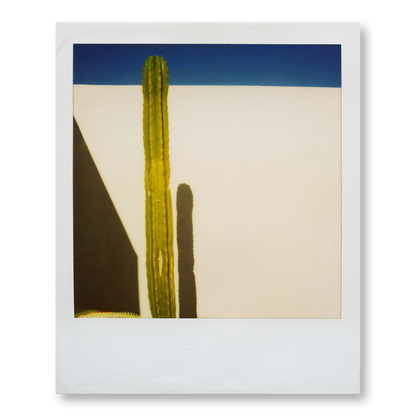 POLA / Palm Springs 01