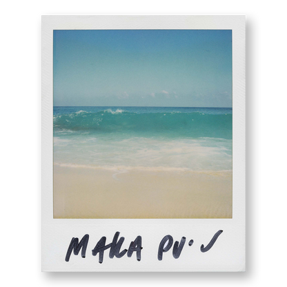 POLA / Dreamland 01