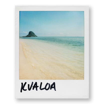 POLA / Dreamland 05