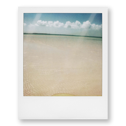 POLA / Dreamland 11