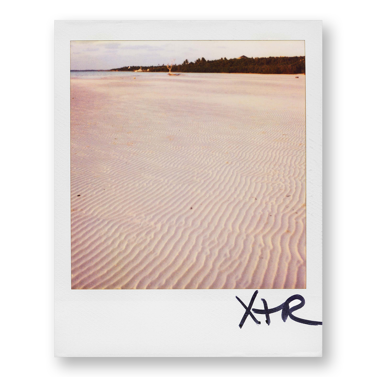 POLA / Dreamland 12