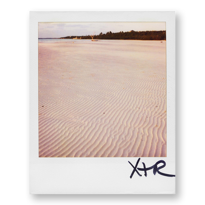 POLA / Dreamland 12