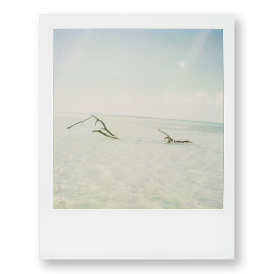 POLA / Dreamland 13